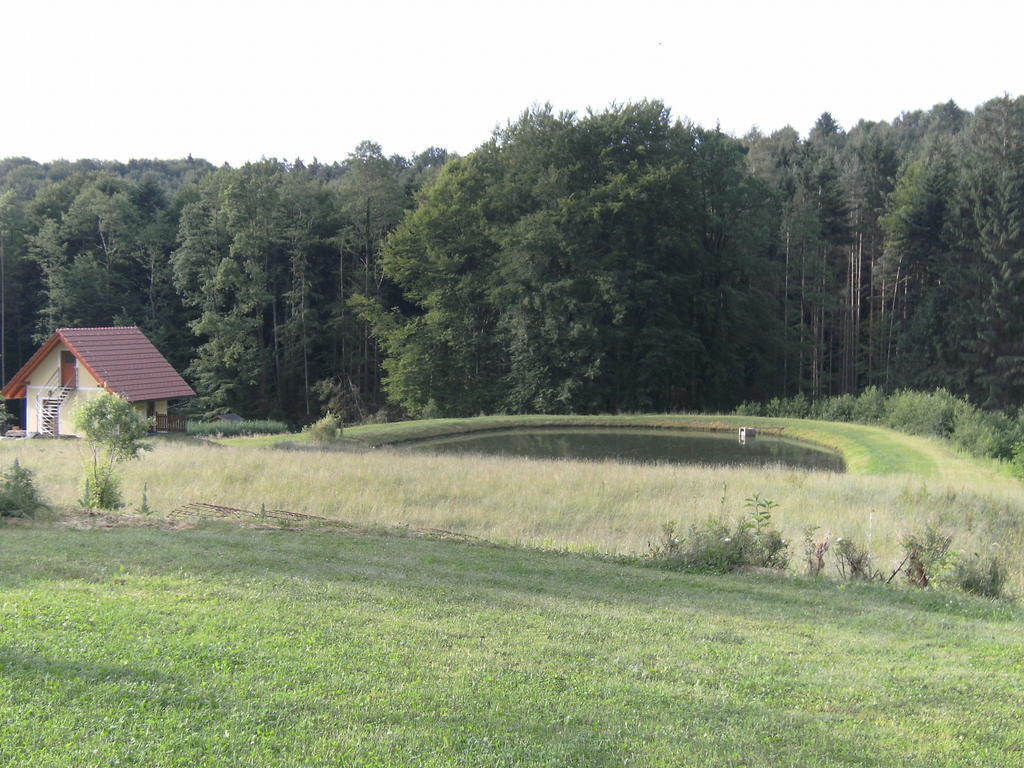 Villa Biobauernhof Drei Finken Bad Gams Exterior foto